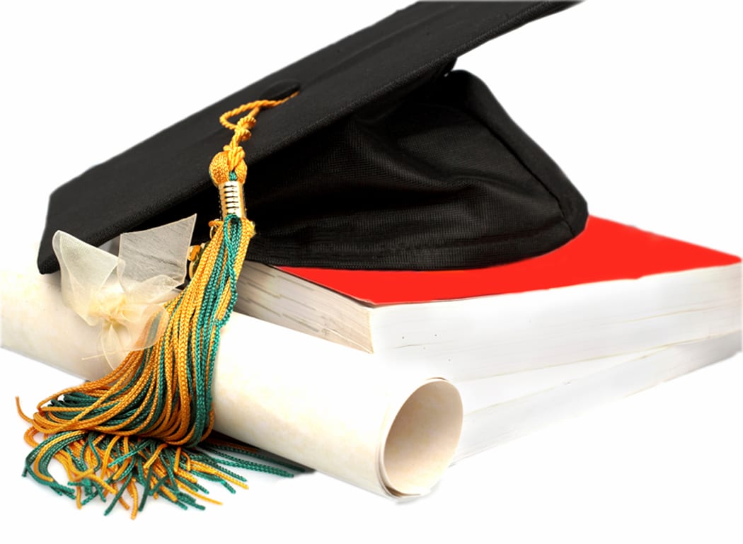 Types of Clients I serve_Government_c) Education